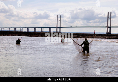 Uomini locale per la pesca del salmone utilizzando un tradizionale Lave Net sul calo di tendenza della Severn Estuary in Black Rock South Wales UK Foto Stock