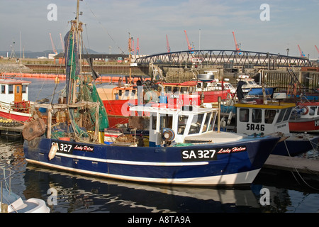 Barche da pesca in Marina Swansea West Glamorgan Wales UK Foto Stock