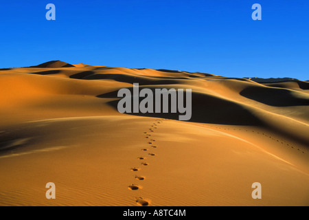 Orme nel deserto, Libia, Sahara Foto Stock