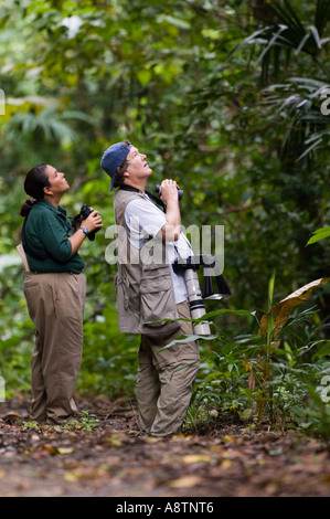 Birdwatching nella foresta pluviale tropicale - Strada Pipeline Soberiana Parco Nazionale di Panama Foto Stock