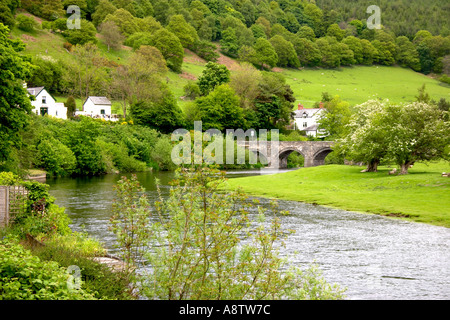 Fiume Dee a Carrog Berwyn Mountains Denbighshire Llangollen Galles del Nord Regno Unito Regno Unito Europa Foto Stock