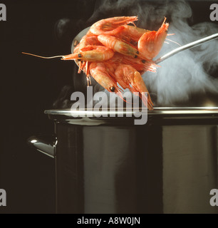 Ancora vita close-up di frutti di mare. Cucinati Freschi Scampi sopra la pentola. Foto Stock