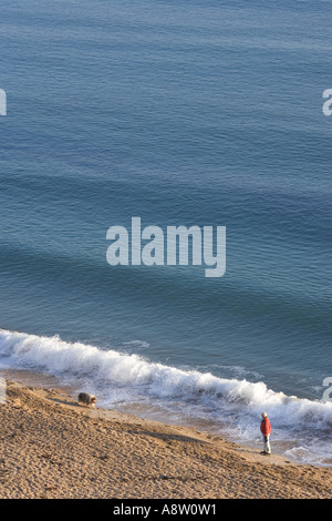 Uomo che cammina il suo lassie sheepdog pet lungo la spiaggia di Weymouth nel sole Foto Stock