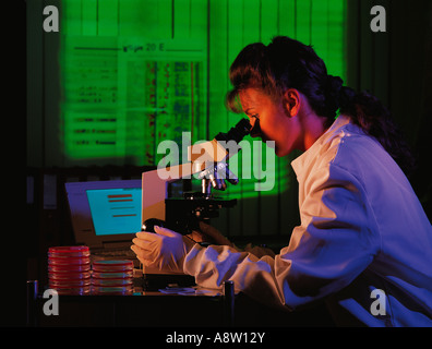 Vista laterale interno della giovane donna ospedale tecnico di laboratorio utilizzando un microscopio. Foto Stock