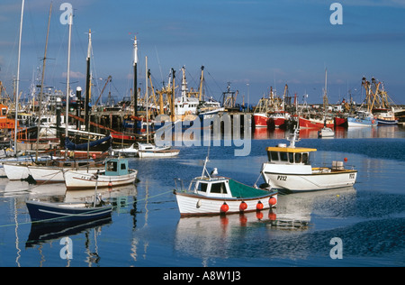 Barche da pesca nel Porto di Newlyn, West Cornwall, England, Regno Unito Foto Stock