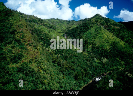 Paesaggio di montagna il Canyon di Waimea Isola di Kauai Hawaii Stati Uniti Foto Stock