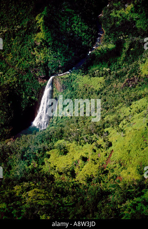 Manawaiopuna cade e il paesaggio di montagna il Canyon di Waimea Isola di Kauai Hawaii Stati Uniti Foto Stock