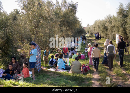 Le famiglie hanno un pic-nic sotto gli olivi nel Jardin de La Menara Marrakech Foto Stock