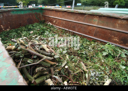 Autorità locali pubblici di stabilimento di riciclaggio per il giardino verde di rifiuti e il posizionamento in scomparto dedicato per la rimozione di impianto di lavorazione Foto Stock