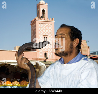 Il serpente incantatore in Piazza Jemaa El Fna a Marrakech Foto Stock