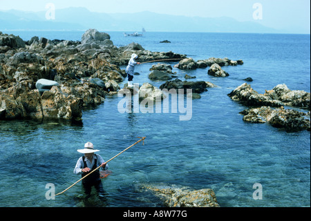 Coppia giapponese a Isola di amakusa a caccia di alghe marine in piscine poco profonde sulla costa del Pacifico Foto Stock