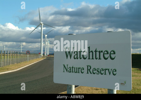 Watchtree Riserva Naturale, il sito dove gli animali macellati sono stati sepolti durante al grande Orton durante l'epidemia di afta epizootica del 2001 Foto Stock