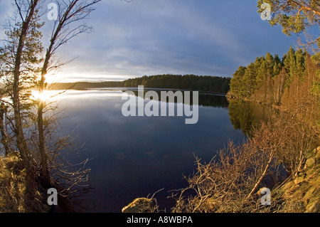 Loch Garten, su Abernethy RSPB Riserva Strathspey Highlands scozzesi inverno Foto Stock