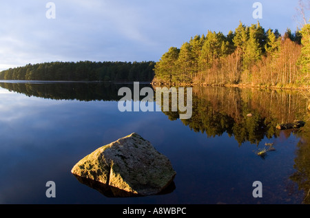 Loch Garten, su Abernethy RSPB Riserva Strathspey Highlands scozzesi inverno Foto Stock