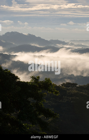 La nebbia avvolgenti la foresta pluviale di pianura all'alba,visto dalla Torre della tettoia, Parco Nazionale di Soberania, Panama America Centrale Foto Stock