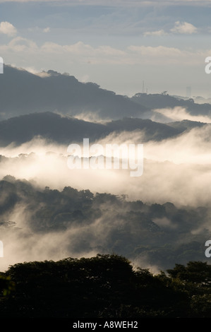 La nebbia avvolgenti la foresta pluviale di pianura all'alba,visto dalla Torre della tettoia, Parco Nazionale di Soberania, Panama America Centrale Foto Stock