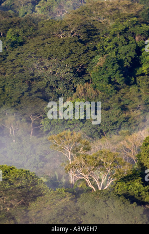 La nebbia avvolgenti la foresta pluviale di pianura all'alba,visto dalla Torre della tettoia, Parco Nazionale di Soberania, Panama America Centrale Foto Stock