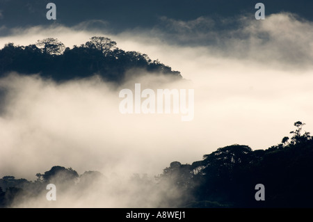 La nebbia avvolgenti la foresta pluviale di pianura all'alba,visto dalla Torre della tettoia, Parco Nazionale di Soberania, Panama America Centrale Foto Stock