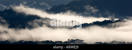 La nebbia avvolgenti la foresta pluviale di pianura all'alba,visto dalla Torre della tettoia, Parco Nazionale di Soberania, Panama America Centrale Foto Stock