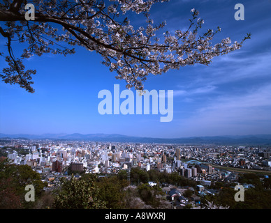 La fioritura dei ciliegi e vista panoramica dal Monte Hanaoka città di Kumamoto Foto Stock