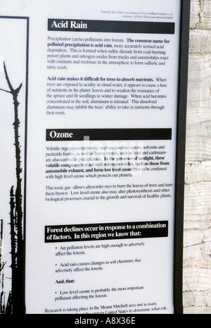 CAROLINA DEL NORD il Monte Mitchell abete rosso e fraser abeti ucciso da balsamo lanosi afidi dopo aver indebolito dalla pioggia acida Foto Stock