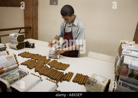 La classificazione di sigari da colore a una fabbrica di sigari Esteli Nicaragua Foto Stock