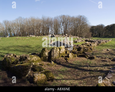 Din Capanna Lligwy gruppo rimane del IV secolo ha difeso l'insediamento. Moelfre Anglesey North Wales UK Foto Stock