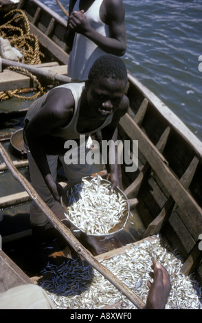 Pescatore di mostrare a tutti la sua cattura di minuscoli come sardine pesce di lago Victoria Africa orientale Foto Stock