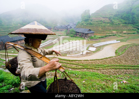 Donna cinese tradizionale Hat concime che porta alla Terrazza di riso campi villaggio Zhongliu Longsheng Cina Foto Stock