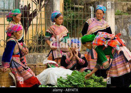 Fiore di minoranza Hmong donne vendere verdure Bac Ha mercato vicino a Sapa Vietnam Foto Stock