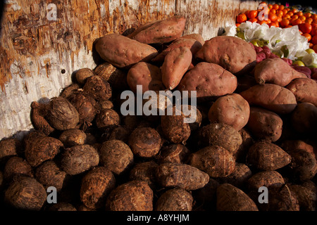 Ortaggi a radice Foto Stock