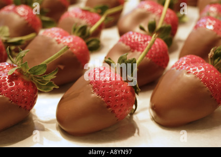 Il cioccolato fragole immerse Foto Stock