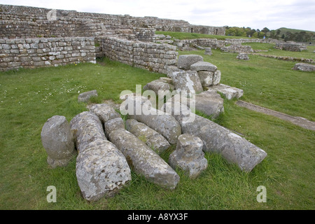 Resti di pilastri in sede o principia Hounsteads Roman Fort Northumberland REGNO UNITO Foto Stock