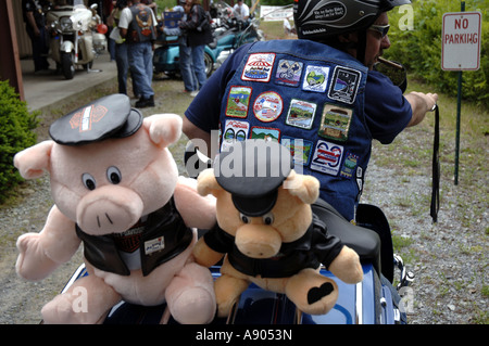 Lake George, New York. Americade Bike rally. Rider immettendo il peluche contest sulla sua Harley Davidson touring bike. Foto Stock
