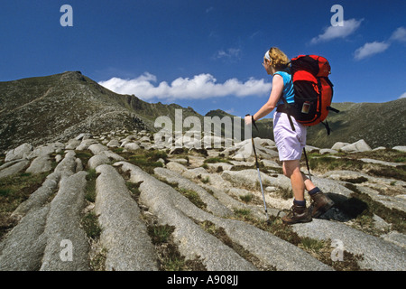 Avvicinarsi al vertice della capra cadde sull'isola di Arran Foto Stock