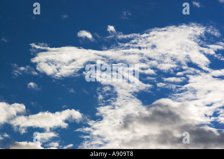 Whispering Sands Beach Front Motel Gisborne Nuova Zelanda Foto Stock