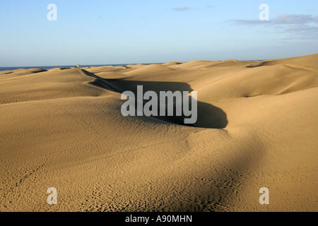 Maspolomas dune di sabbia, Gran Canaria Isole Canarie Foto Stock