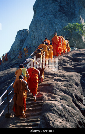 Un file di monaci a scalare una montagna su un pellegrinaggio in Sri Lanka Foto Stock