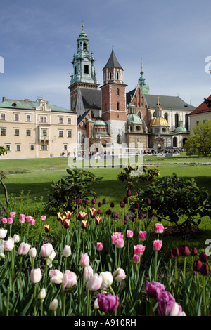 La cattedrale del Wawel a Cracovia, Polonia Foto Stock