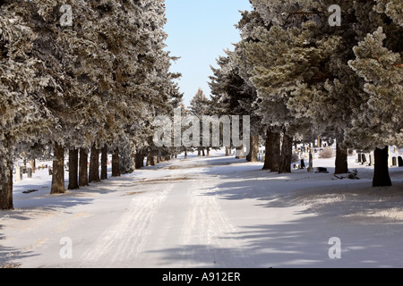 Strada in Moose Jaw cimitero in inverno Foto Stock