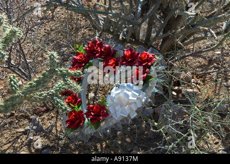 Fiori gettati nel cimitero vicino vende, Arizona, Stati Uniti. Foto Stock