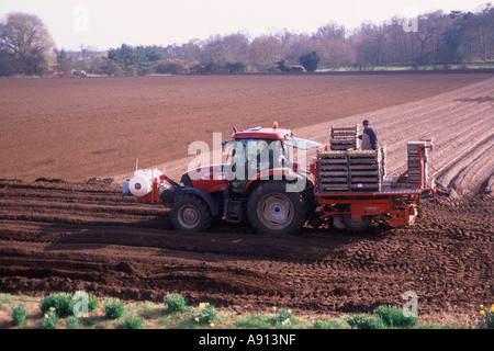 Il trattore e il rimorchio di piantare patate nel campo Suffolk sandlings Inghilterra Foto Stock