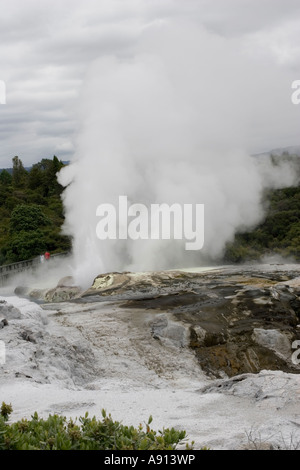 Nuvole di vapore geotermico che erutta da Pohutu Geyser Te Puia Whakarewarewatanga Riserva Termale di Rotorua in Nuova Zelanda Foto Stock