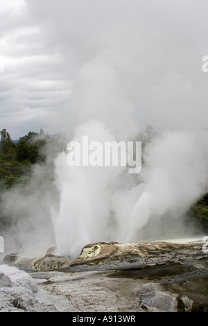 Nuvole di vapore geotermico che erutta da Pohutu Geyser Te Puia Whakarewarewatanga Riserva Termale di Rotorua in Nuova Zelanda Foto Stock