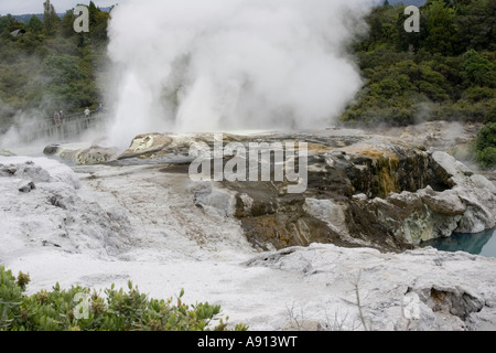 Nuvole di vapore geotermico che erutta da Pohutu Geyser Te Puia riserva termica Valle Whakarewarewatanga Rotorua Nuova Zelanda Foto Stock