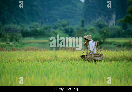 Uomo che porta producono in cesti sulla sua spalla nei pressi di Yangshuo, provincia di Guangxi, Cina Foto Stock