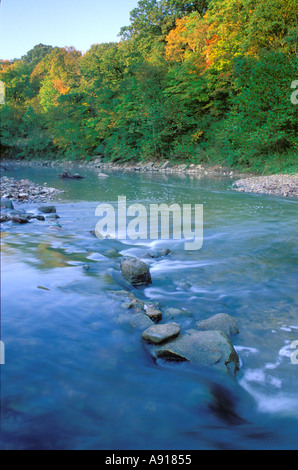 I colori dell'Autunno lungo la forcella centrale del fiume Vermiglio un National Scenic River Kickapoo membro Park Illinois Foto Stock