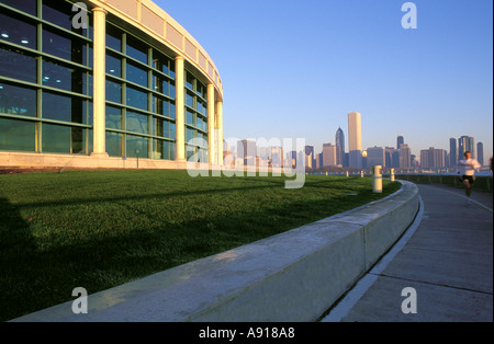 John G Shedd Aquarium e il centro cittadino di Chicago skyline Illinois Foto Stock