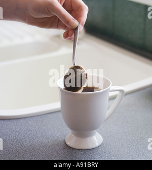 Facendo una bella tazza di tè. Prese verticalmente, una mano è in possesso di un cucchiaino con un sacchetto da tè su di esso contro l'interno della tazza. Foto Stock