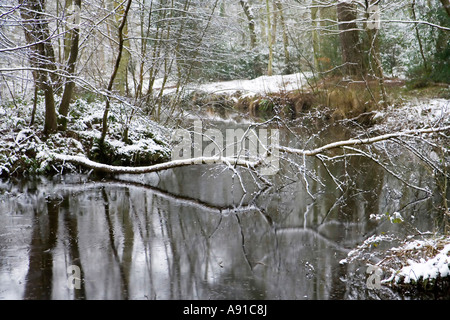 Una scena di fiume con un albero verso il basso e tutto coperto di una spolverata di neve Foto Stock